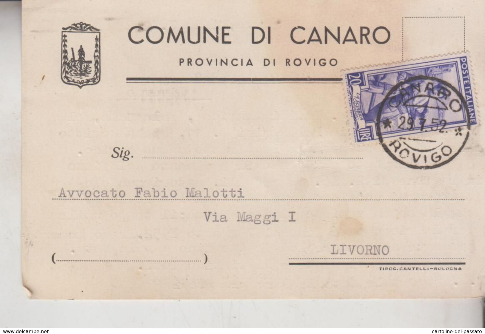 CANARO ROVIGO CARTOLINA COMUNE 1952 - Rovigo