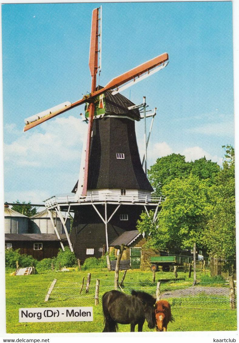 Norg (Dr) - Molen- (Nederland/Holland) - L 1485 - (Moulin à Vent, Mühle, Windmill, Windmolen) - Norg