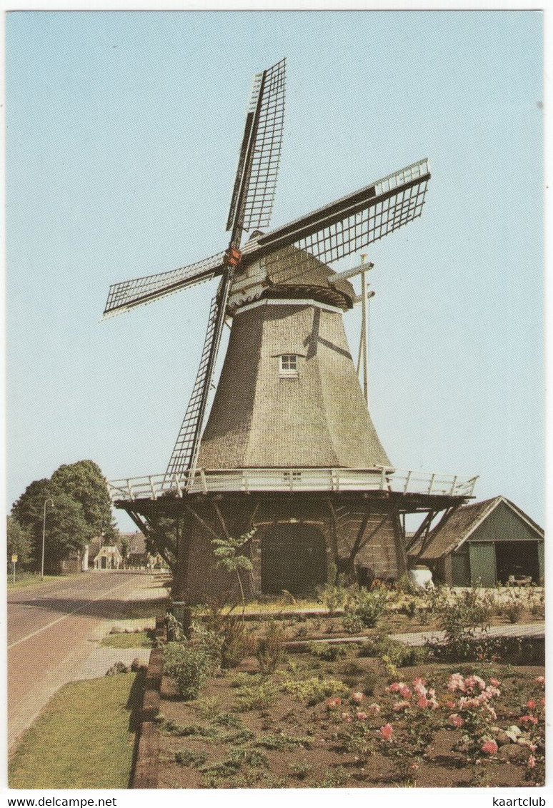 Dalen (Dr) - Benter Molen - (Nederland) - (Moulin à Vent, Mühle, Windmill, Windmolen) - Coevorden