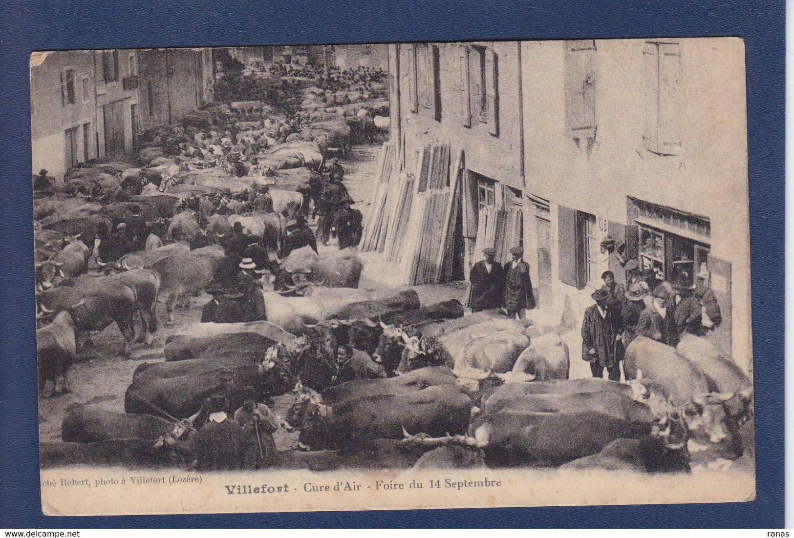 CPA [48] Lozère > Villefort Marché Foire Non Circulé - Villefort