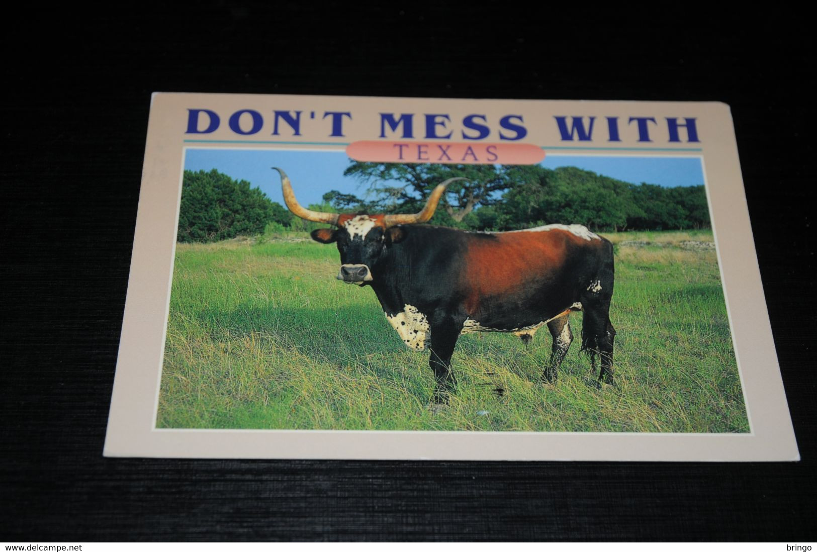 31037-                        DON'T MESS WITH TEXAS - Bull