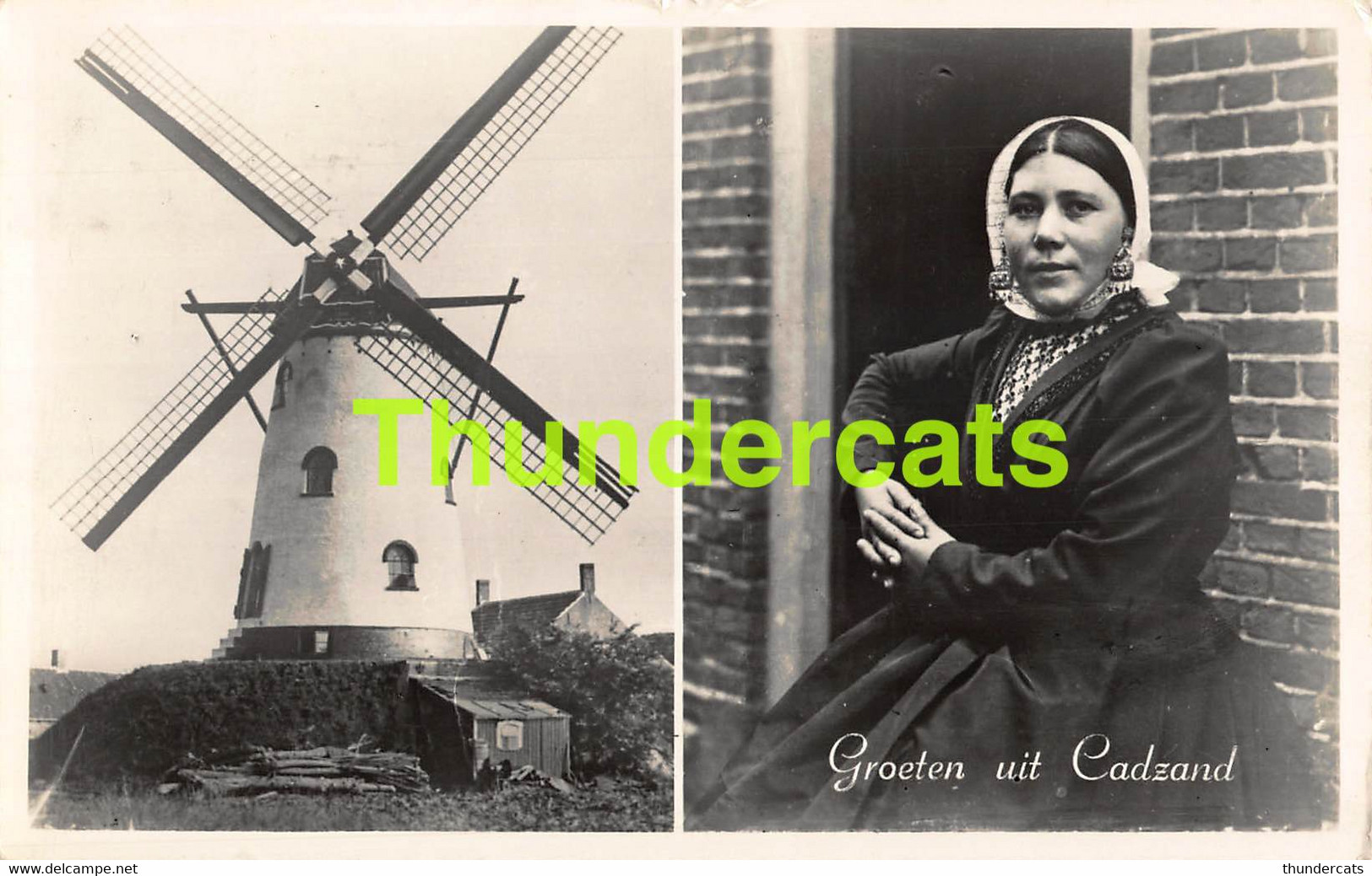 CPA GROETEN UIT CADZAND MOLEN MOULIN - Cadzand