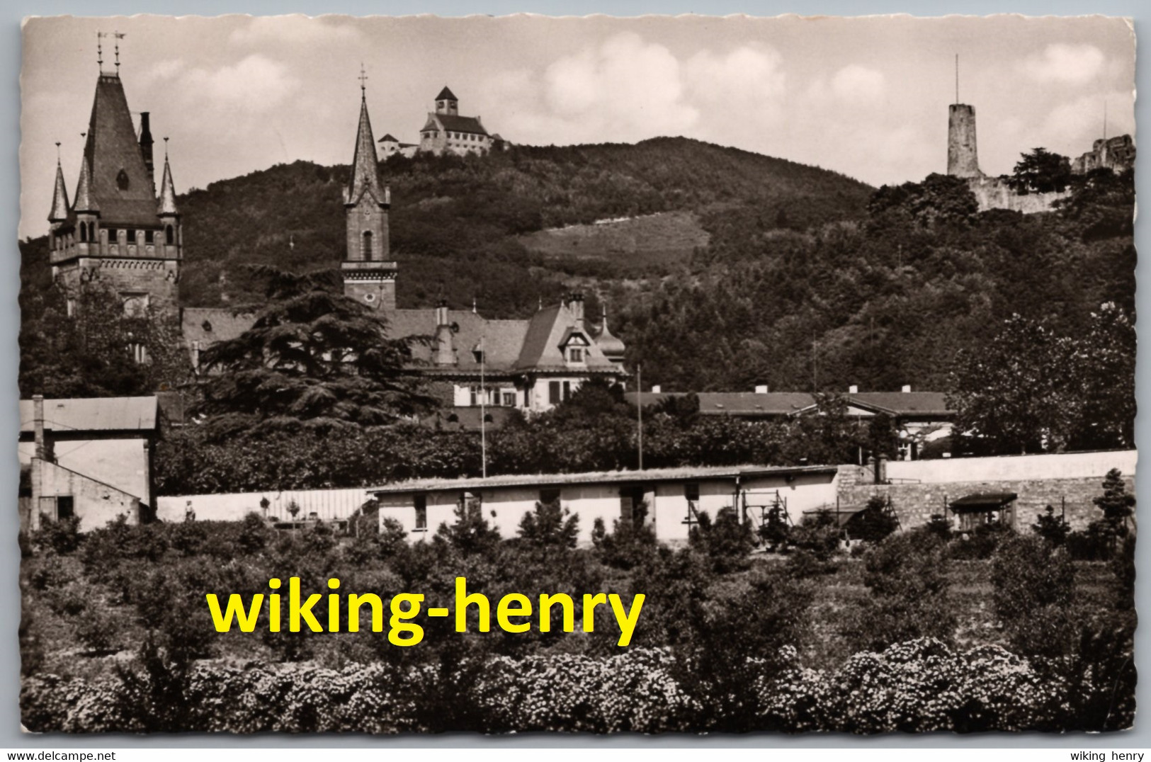 Weinheim An Der Bergstraße - S/w Blick Aus Der Rosenanlage - Weinheim