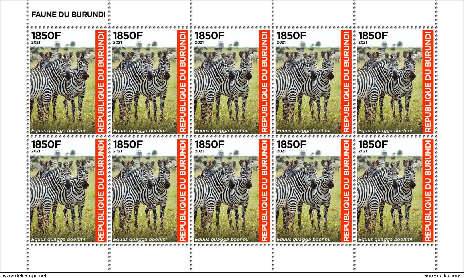 BURUNDI 2021 -  SHEETLET FEUILLET 10v - FAUNA FAUNE WILDLIFE ZERBES ZERBRE ZEBRA ZEBRAS - RARE MNH - Donkeys