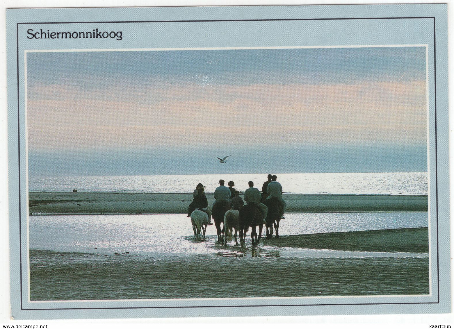 Schiermonnikoog - Ruiters, Wad - (Nederland/Holland) - 816 - Schiermonnikoog