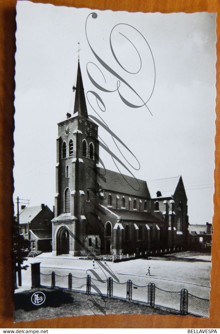 Olsene. Kerk Sint-Pieter - Zulte