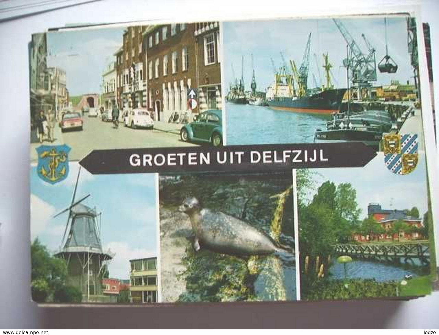 Nederland Holland Pays Bas Delfzijl Met Zeehondje - Delfzijl