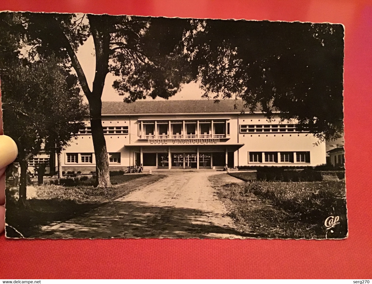 Rare Cpa Guelma L'école D'agriculture - Guelma