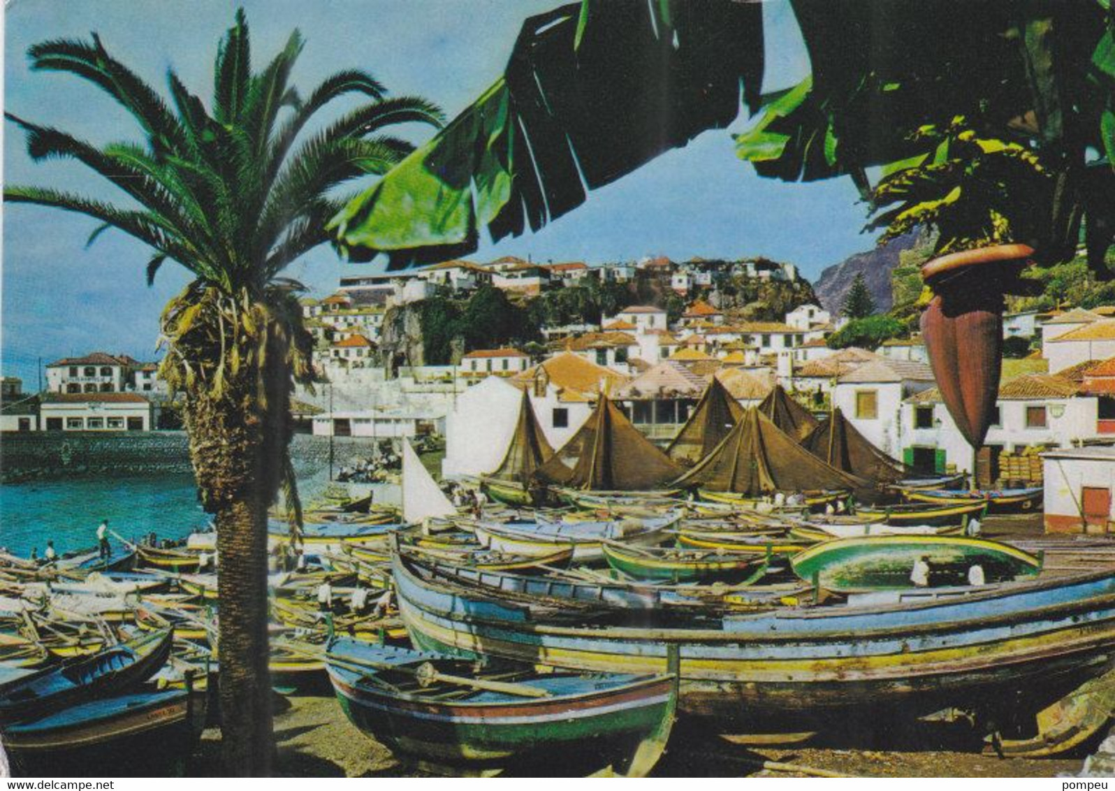 QO - Lote 5 Cartes - PORTUGAL - Madeira:  Funchal / Camara De Lobos / Flowers - 5 - 99 Cartes