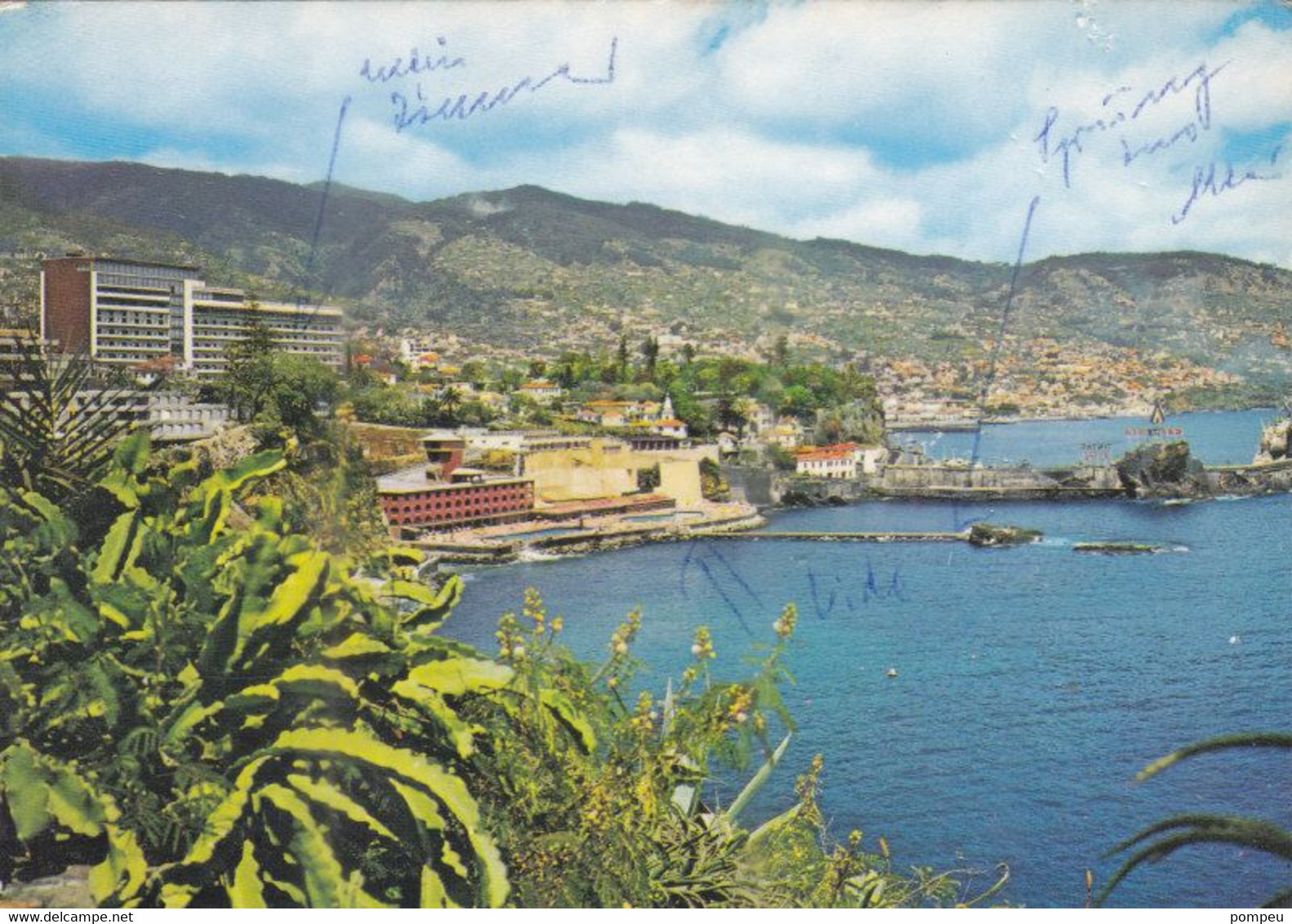 QO - Lote 5 Cartes - PORTUGAL - Madeira:  Funchal / Camara De Lobos / Flowers - 5 - 99 Cartes