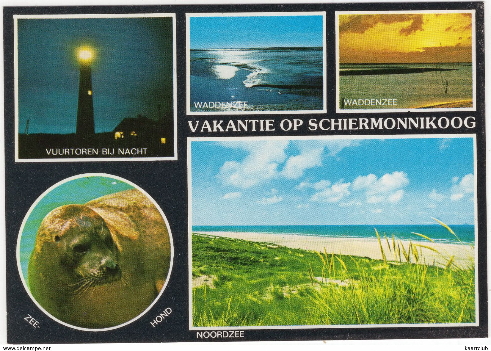Vakantie Op Schiermonnikoog - O.a. Vuurtoren Bij Nacht, Zeehond - (Nederland/Holland) - L 5096 - Phare/Lighthouse - Schiermonnikoog