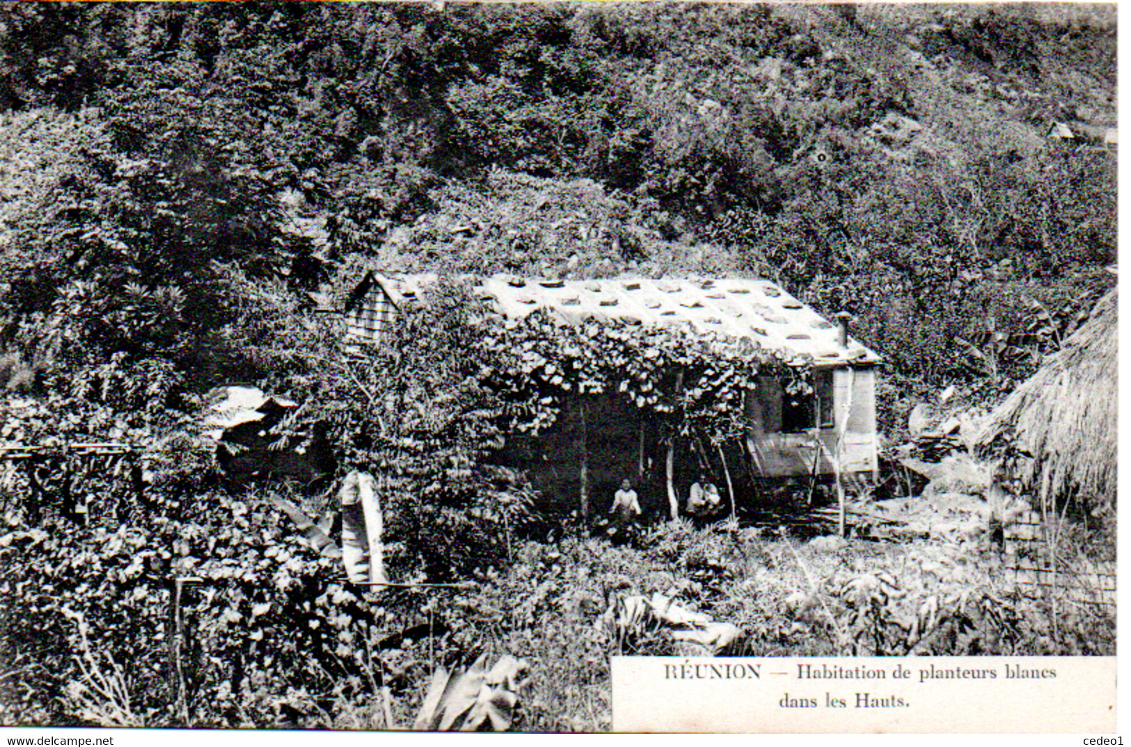 REUNION  HABITATION DE PLANTEURS BLANCS DANS LES HAUTS - Saint Pierre