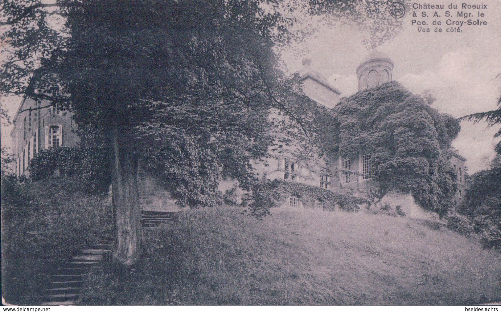 Château De Roeulx à Sas Mgr Le Pce De Croy Solre Vue De Coté - Le Roeulx