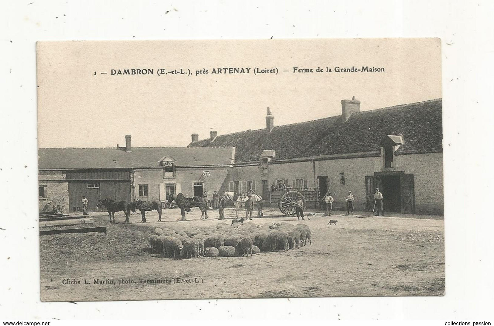 Cp , Agriculture , Ferme De La GRANDE-MAISON , 28 , DAMBRON Près ARTHENAY ,vierge, Moutons,attelage , Chevaux - Boerderijen