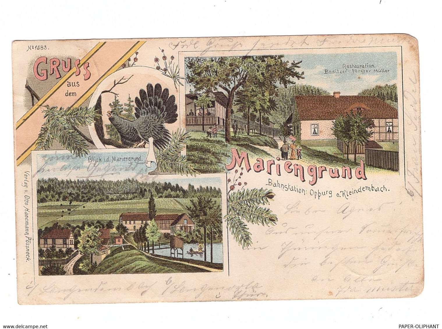 0-6841 LANGENORLA - KLEINDEMBACH, Lithographie Mariengrund, 1901 - Schleiz