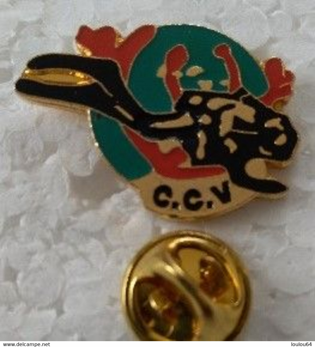 Pin's - Sports - Plongée - C.C.V -  Corail Club Valencien - Valence D'Agen 47 - - Plongée