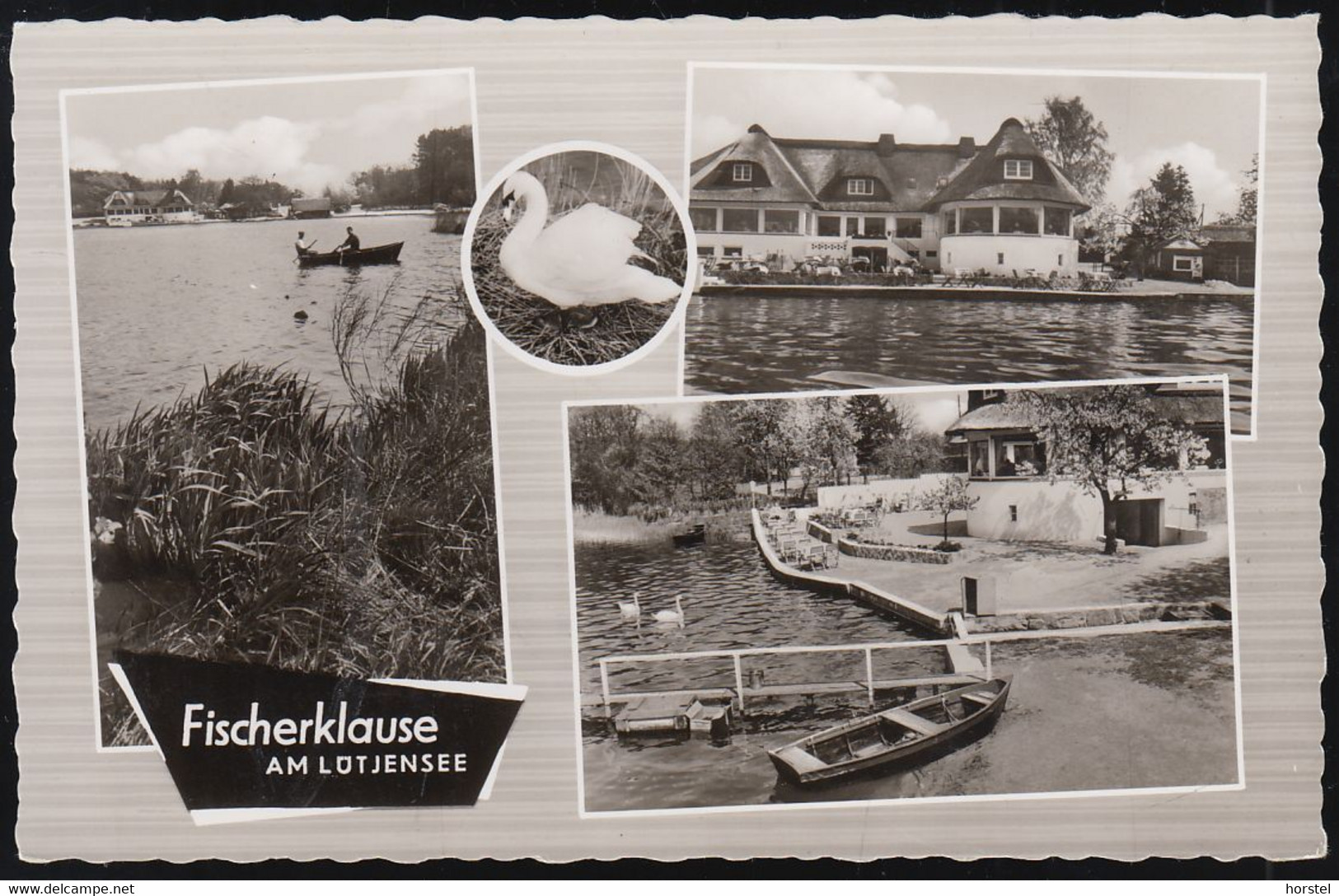 D-24321 Lütjenburg - Fischerklause Am Lütjensee - Schwan ( Echt Foto) - Luetjenburg