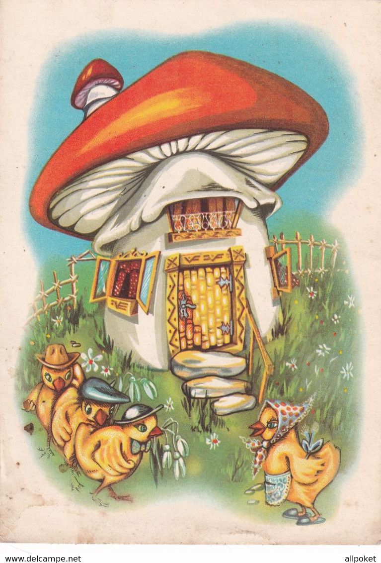 A14108- MUSHROOM HOUSE FOR CHICKS ILLUSTRATION, SEBES 1969 ROMANIA POSTAL STATIONERY USED STAMP POSTCARD - Champignons