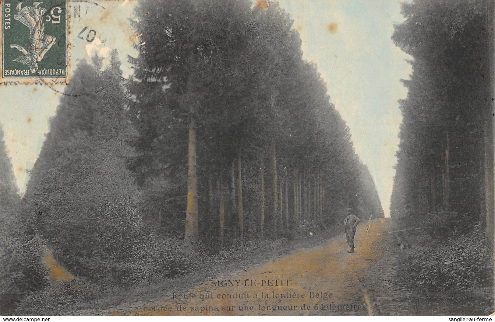 CPA 08 SIGNY LE PETIT ROUTE QUI CONDUIT A LA LONTIERE BELGE CORDEE DE SAPINS SUR UNE LONGUEUR - Autres & Non Classés