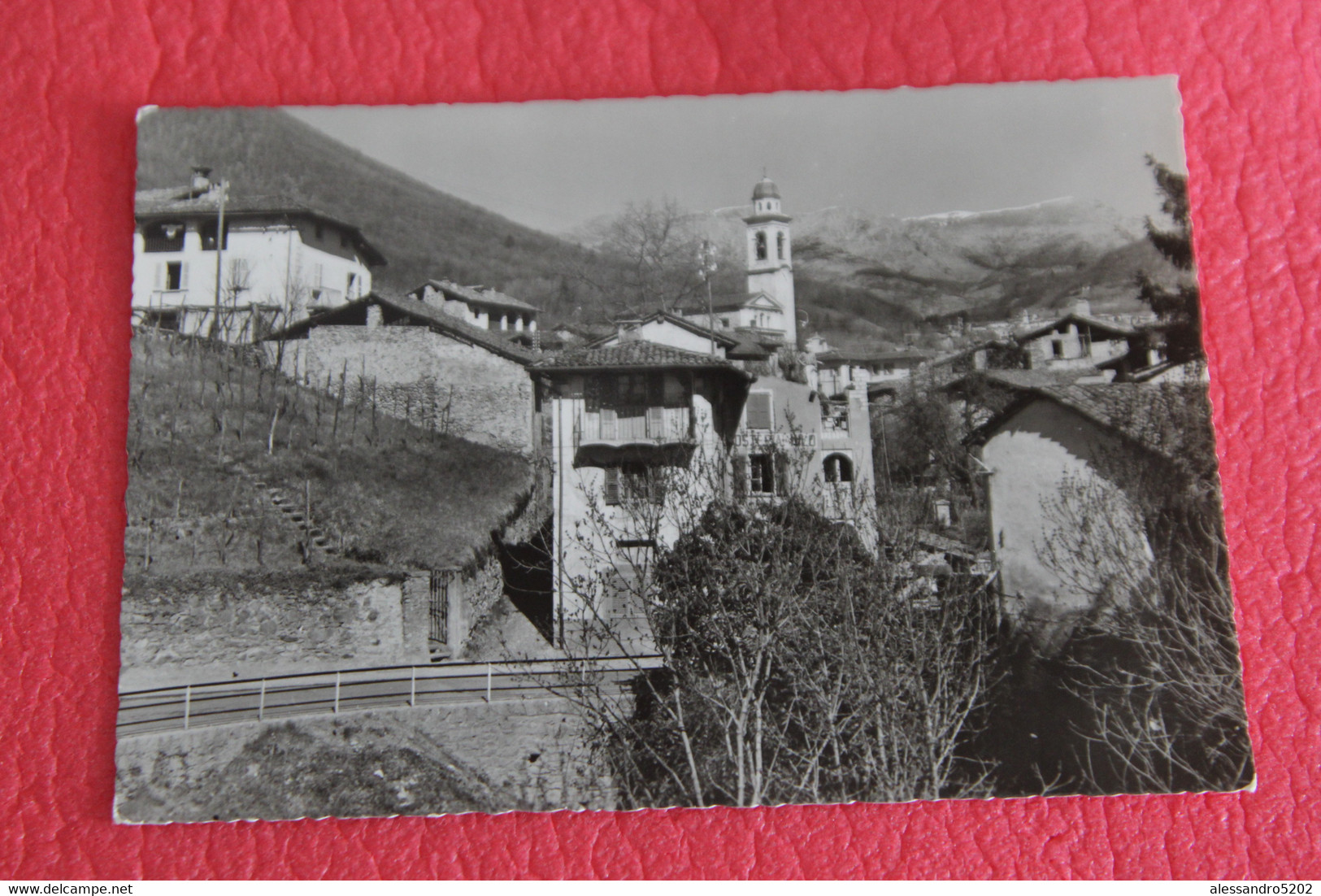 Ticino Pura 1966 - Pura