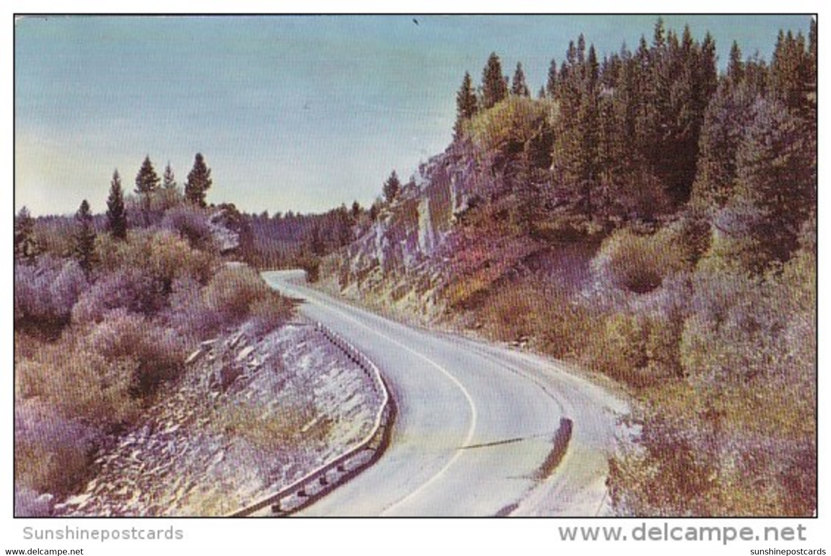 Scene Near The Summiit Of Mcdonald Pass In Helena National Forest 1957Butte Montana - Butte