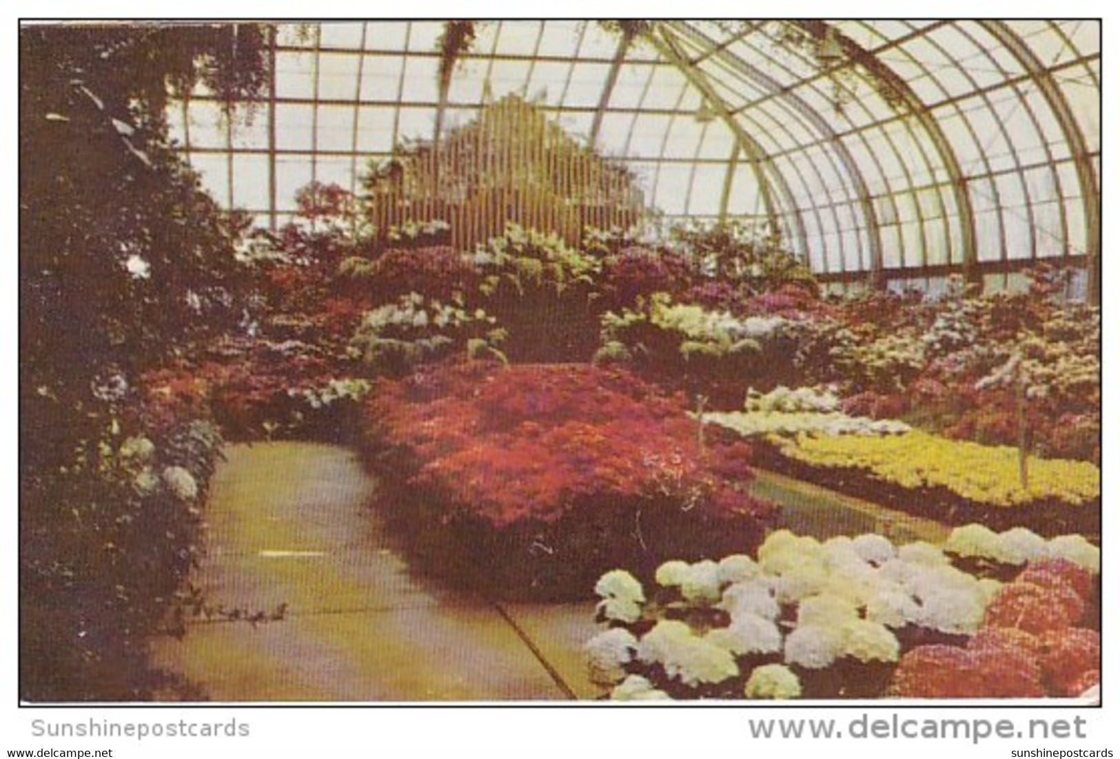 Annual Easter Display Conservatory In Eden Park Cincinnati Ohio 1961 - Cincinnati