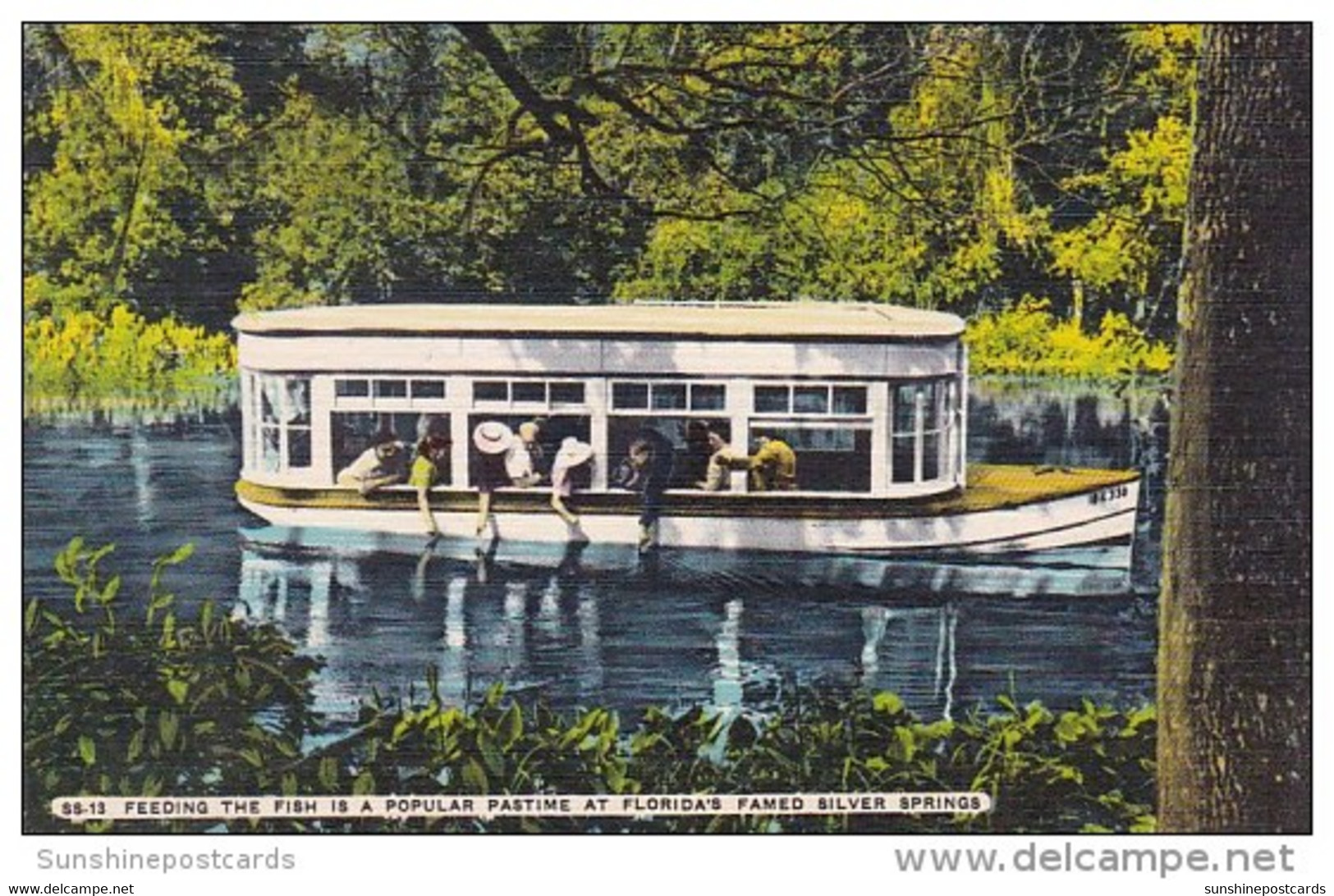 Feeding The Fish Is A Popular Pastime At Floridas Famed Silver Springs Florida - Silver Springs