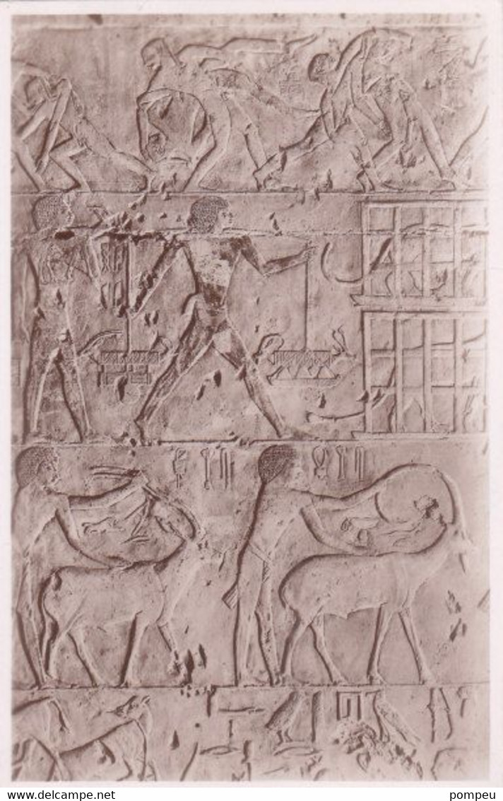 QO - Lote 12 Cartes - EGYPT - Menphis / Sakkara / Meidûm (neuf)