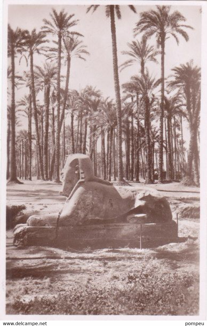 QO - Lote 12 Cartes - EGYPT - Menphis / Sakkara / Meidûm (neuf)