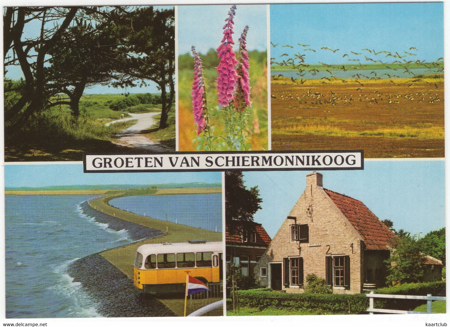 Groeten Van Schiermonnikoog - O.a. Oude Autobus - Streekbus - (Nederland) - SCG 17 - Schiermonnikoog