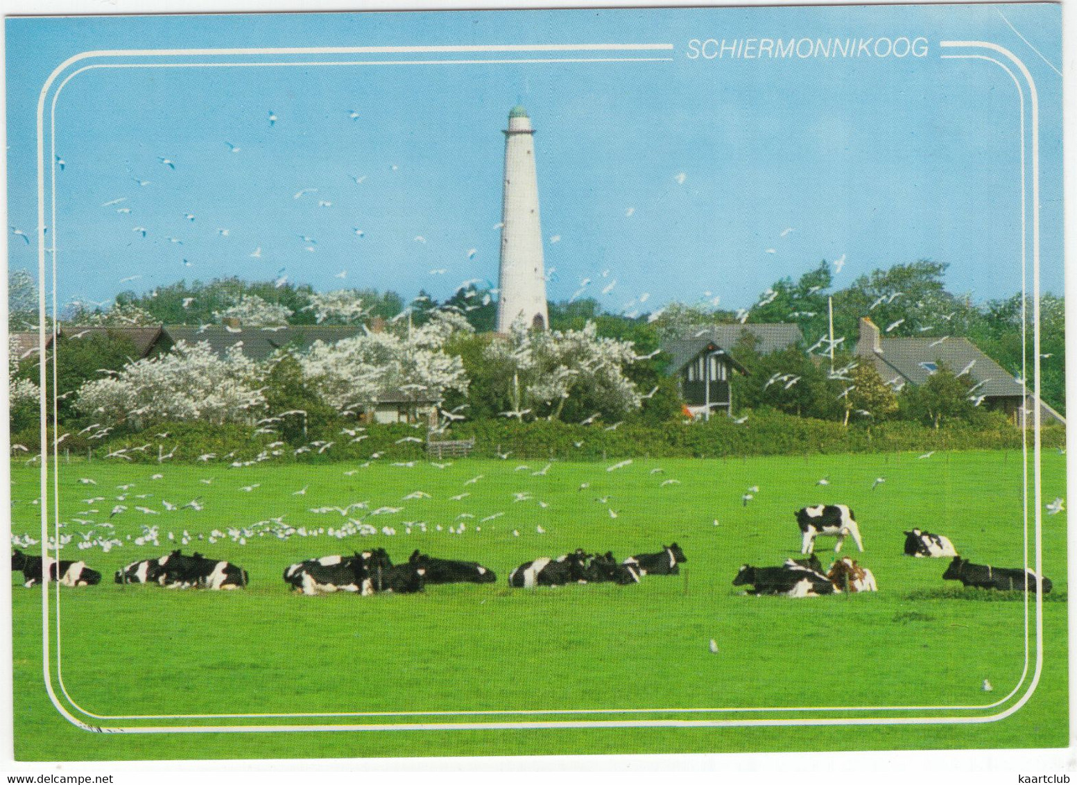 Groeten Van Schiermonnikoog - Watertoren , Koeien, Vogels - (Nederland/Holland) - SCG 23 - Schiermonnikoog