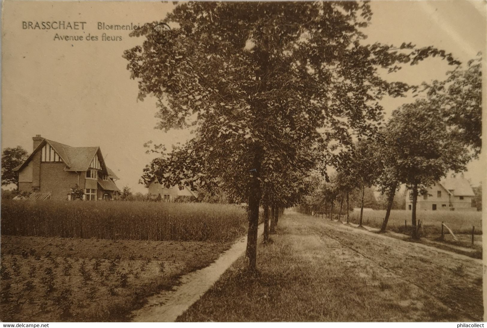 Brasschaat - Brasschaet // Bloemenlei 19?? - Brasschaat