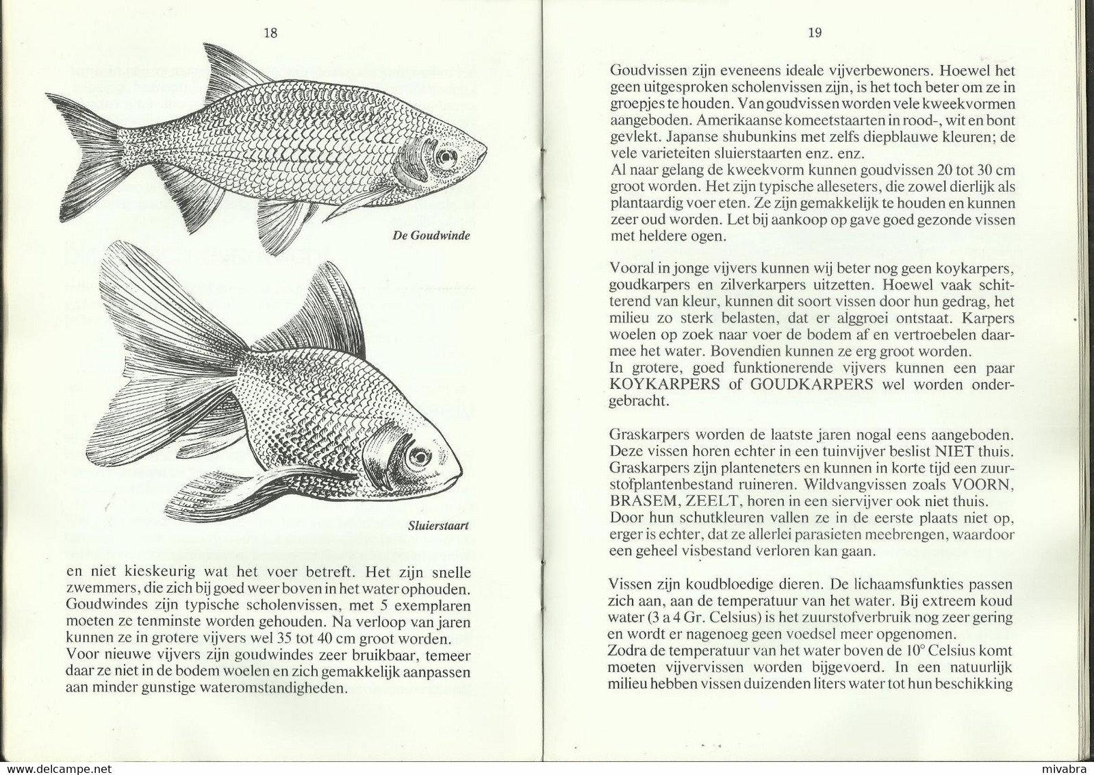 HET KLEINE VIJVERBOEK - UITGAVE VELDA AQUARISTIEK  (tuinvijvers) - Practical