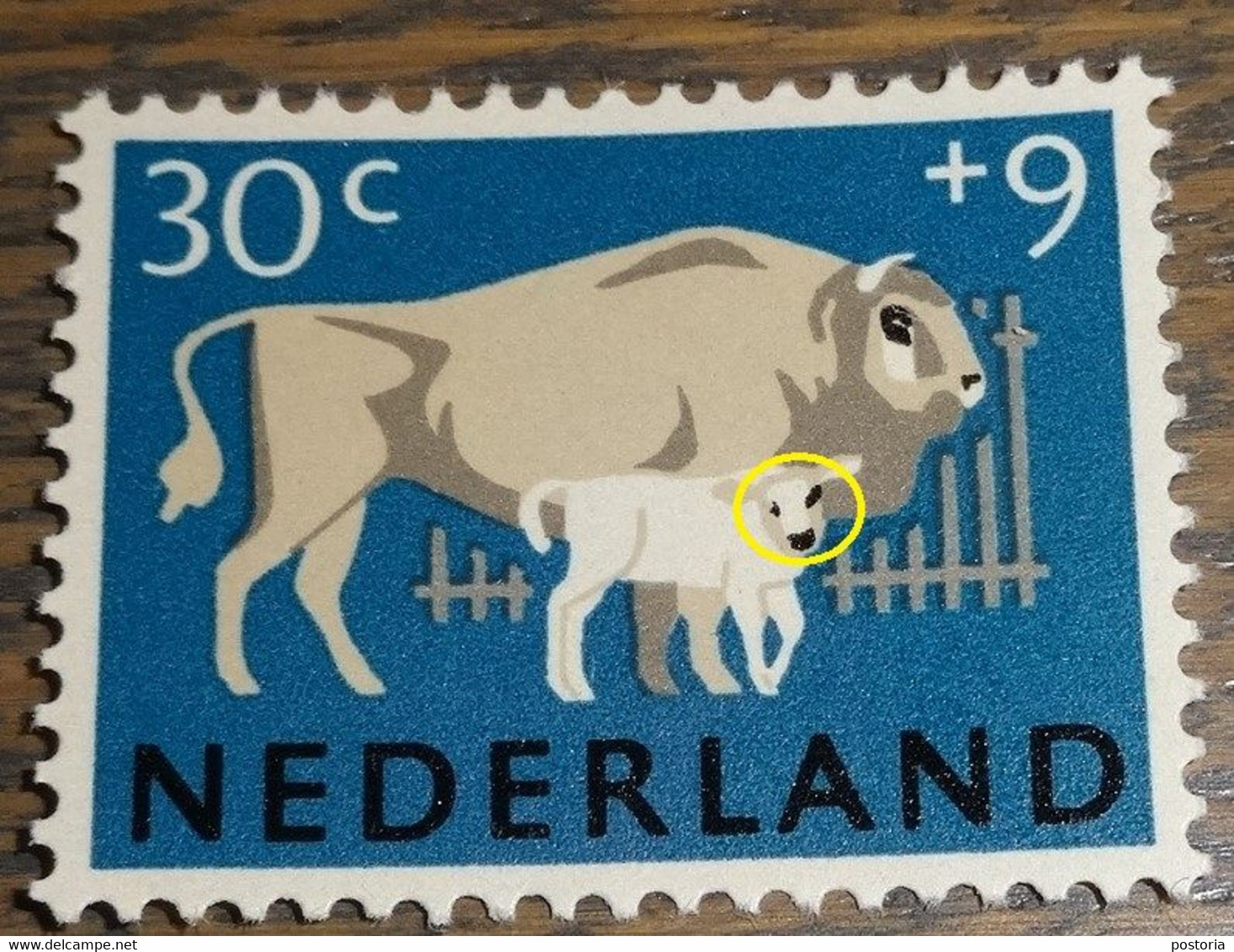 Nederland - MAST - 815 PM - 1964 - Plaatfout - Postfris - Kalf Heeft Een Scheel Oog - Errors & Oddities