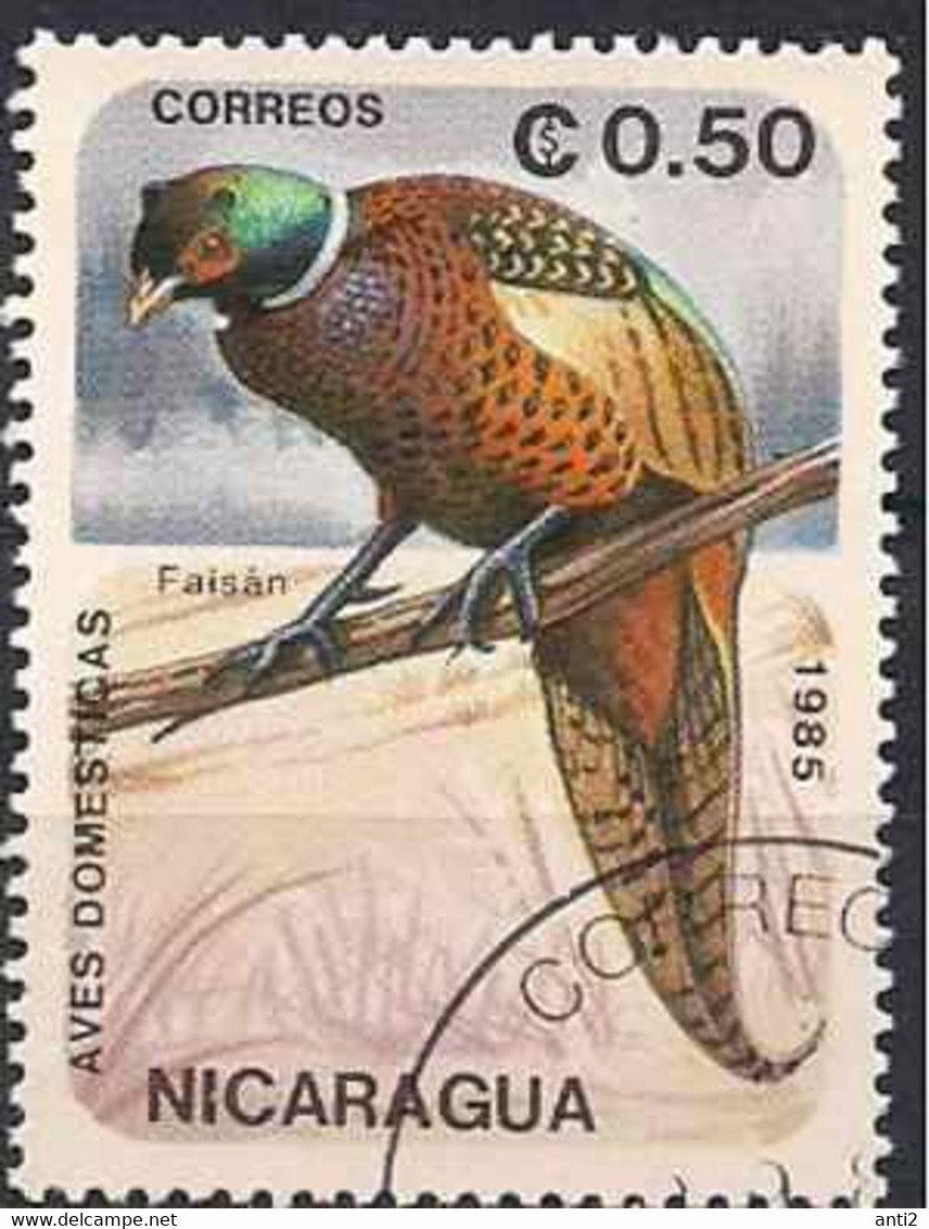 Nicaragua 1985 Bird, Pheasant (Phasianus Colchicus) Mi 2599, Cancelled(o) - Paons
