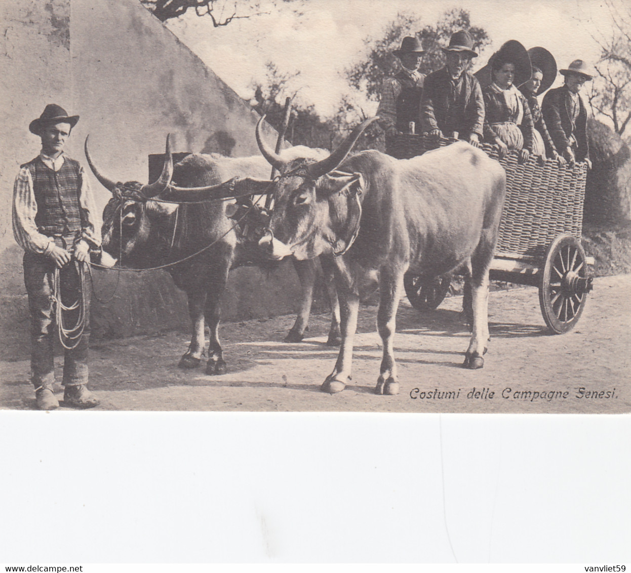 SIENA-COSTUMI DELLA CAMPAGNA SENESE-CARTOLINA NON VIAGGIATA-ANNO 1910-1920 - Siena