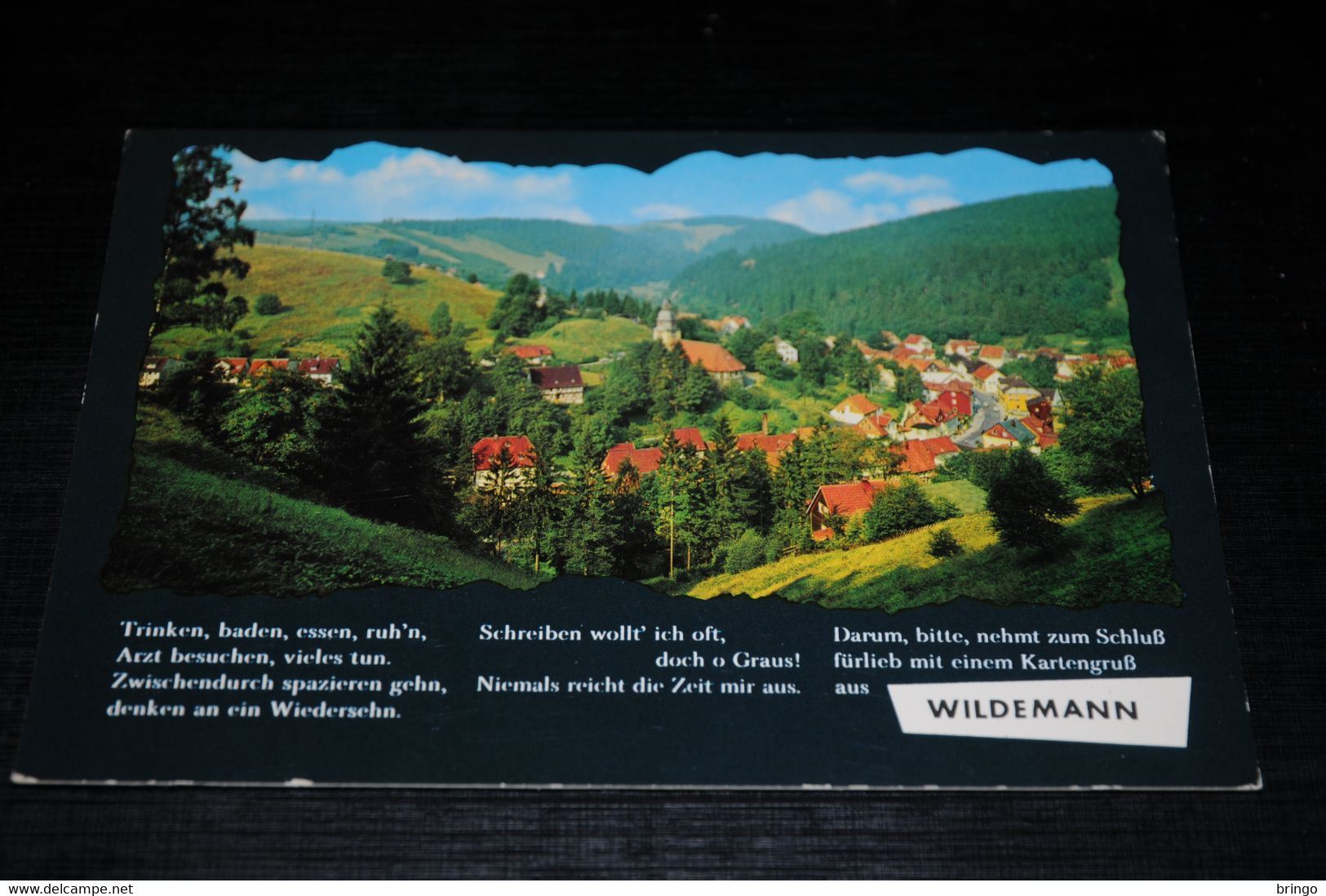 31400-                  WILDEMANN - Wildemann