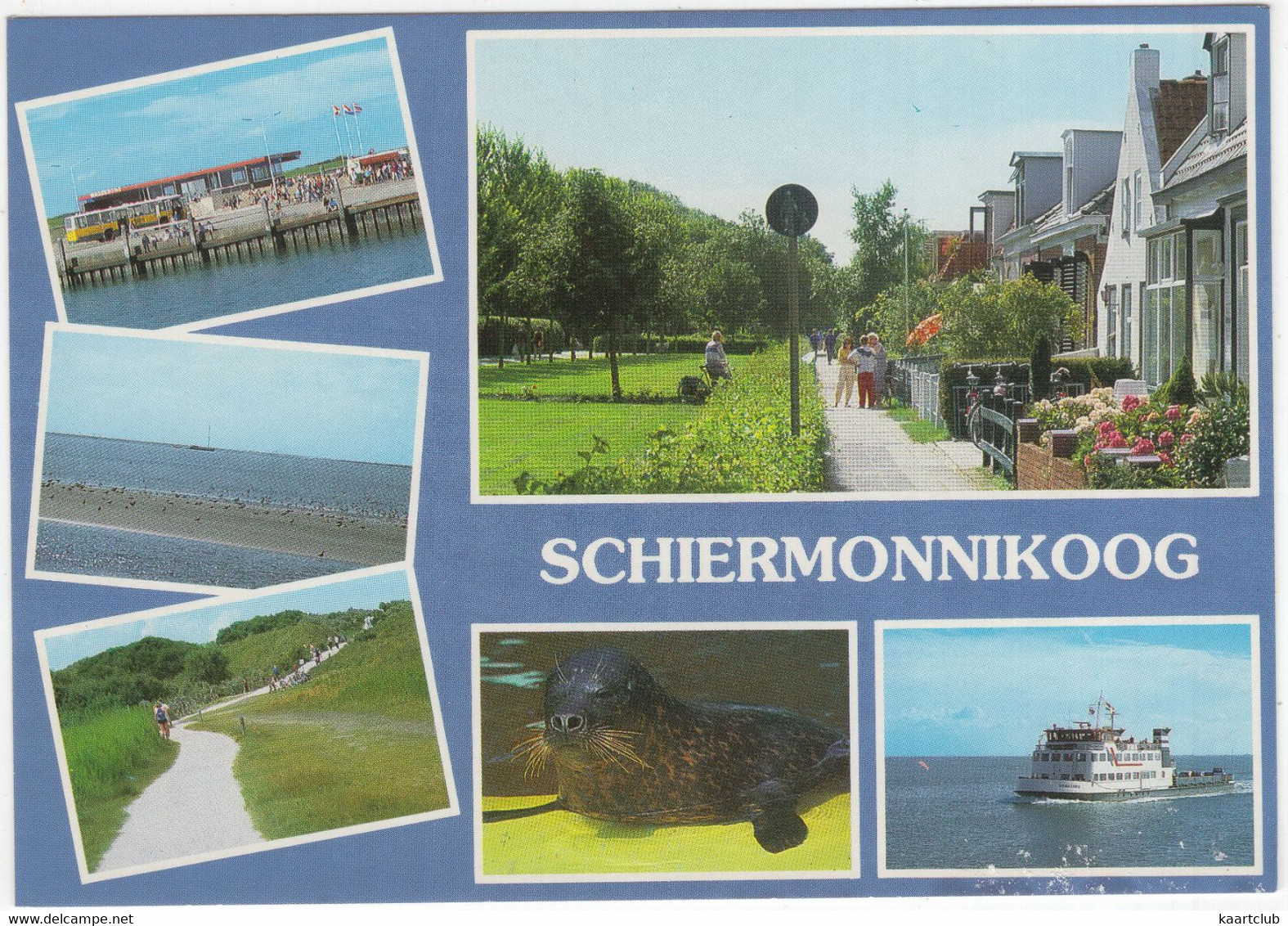 Schiermonnikoog - (Nederland/Holland) - SCG 41 - Schiermonnikoog