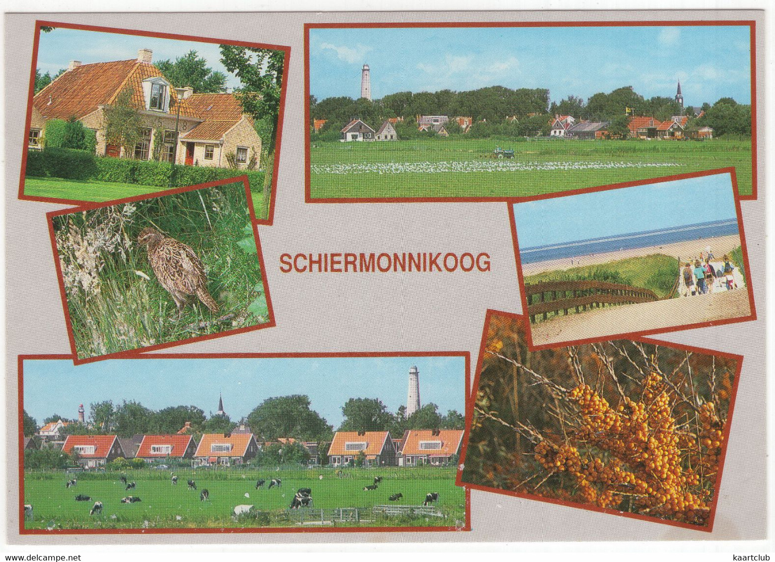 Schiermonnikoog - (Nederland/Holland) - SCG 43 - Schiermonnikoog