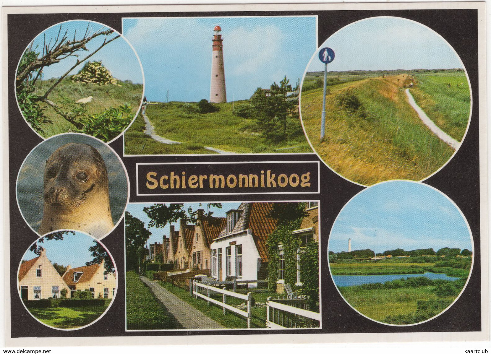 Schiermonnikoog - (Nederland/Holland) - SCG 10 - Vuurtoren/Phare - Schiermonnikoog