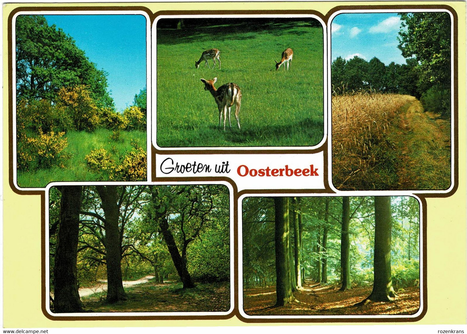 Groeten Uit Oosterbeek Gelderland Nederland 1987 ZELDZAAM Groot Formaat CPA - Oosterbeek