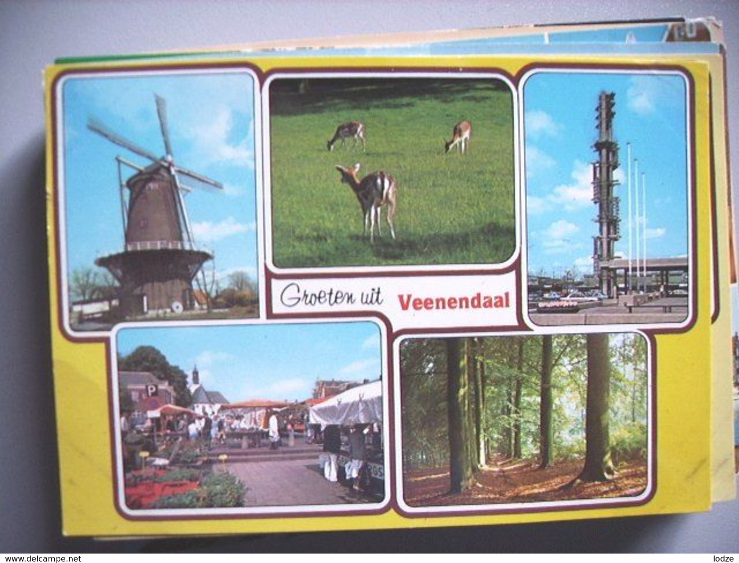 Nederland Holland Pays Bas Veenendaal Met Molen En Ander Fraais - Veenendaal