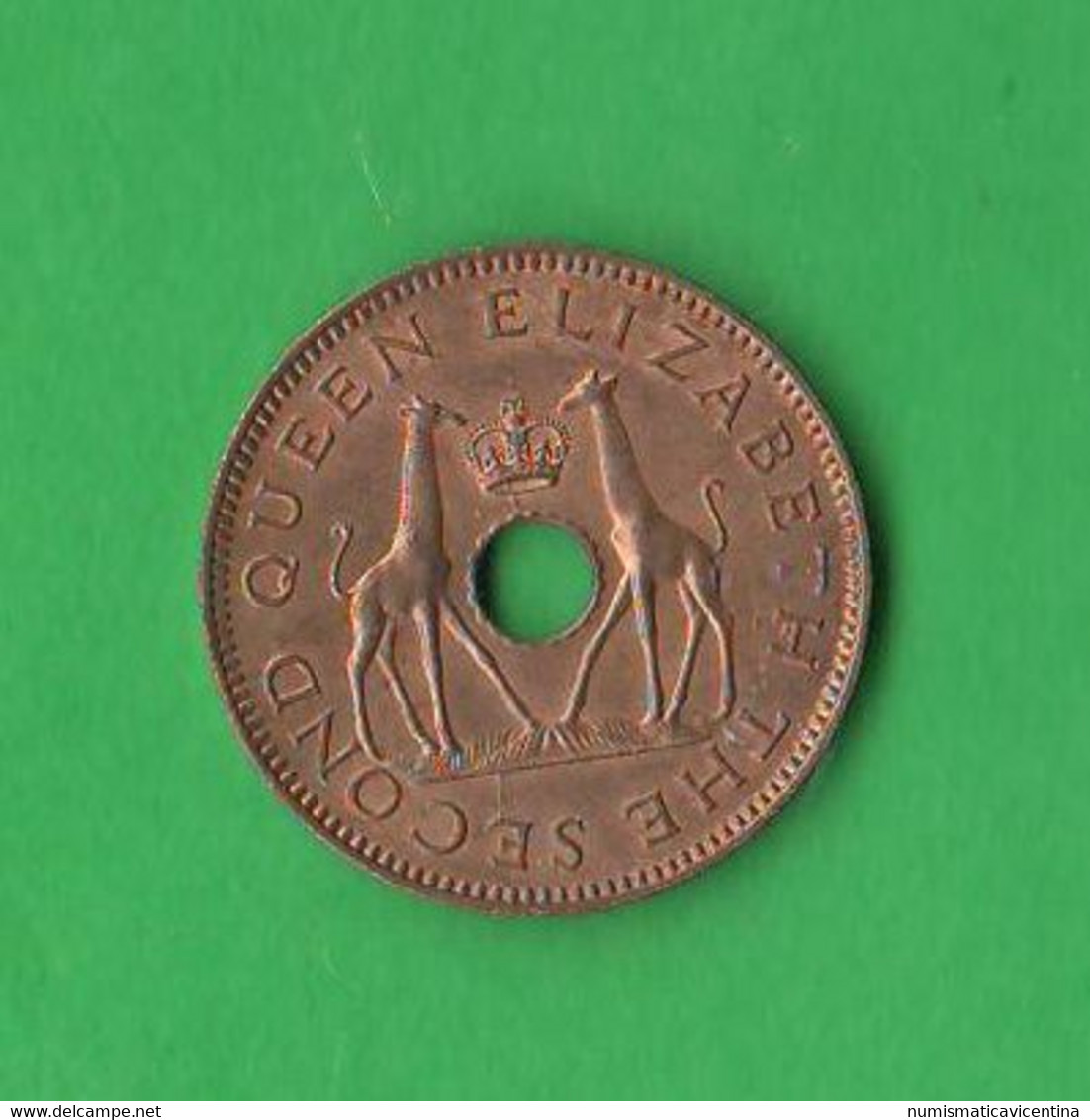 Half Penny 1958 Rhodesia And Nysaland - Rhodesien