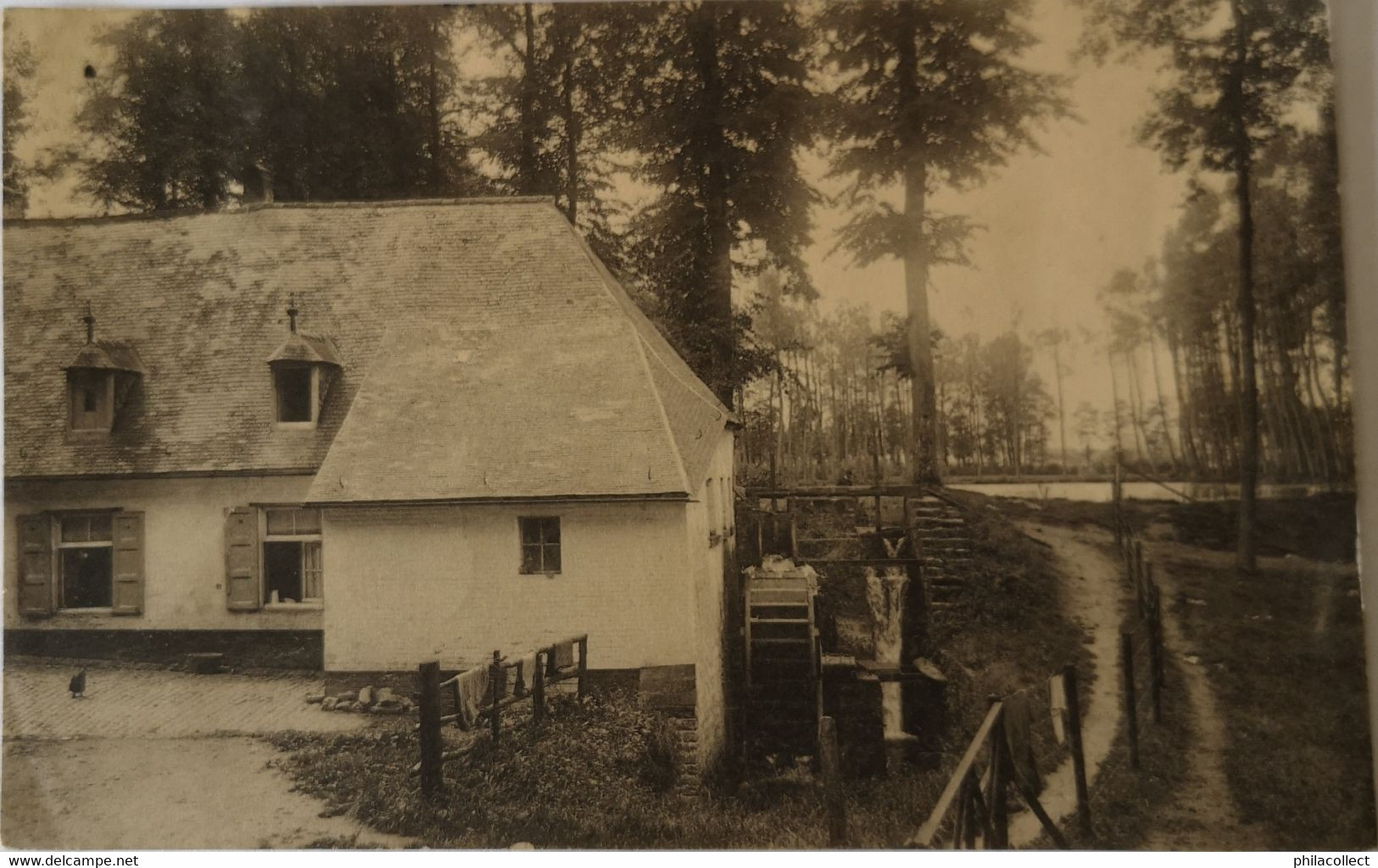 Wemmel // Almeghemmolen - Moulin D' Almeghem 1923 - Wemmel