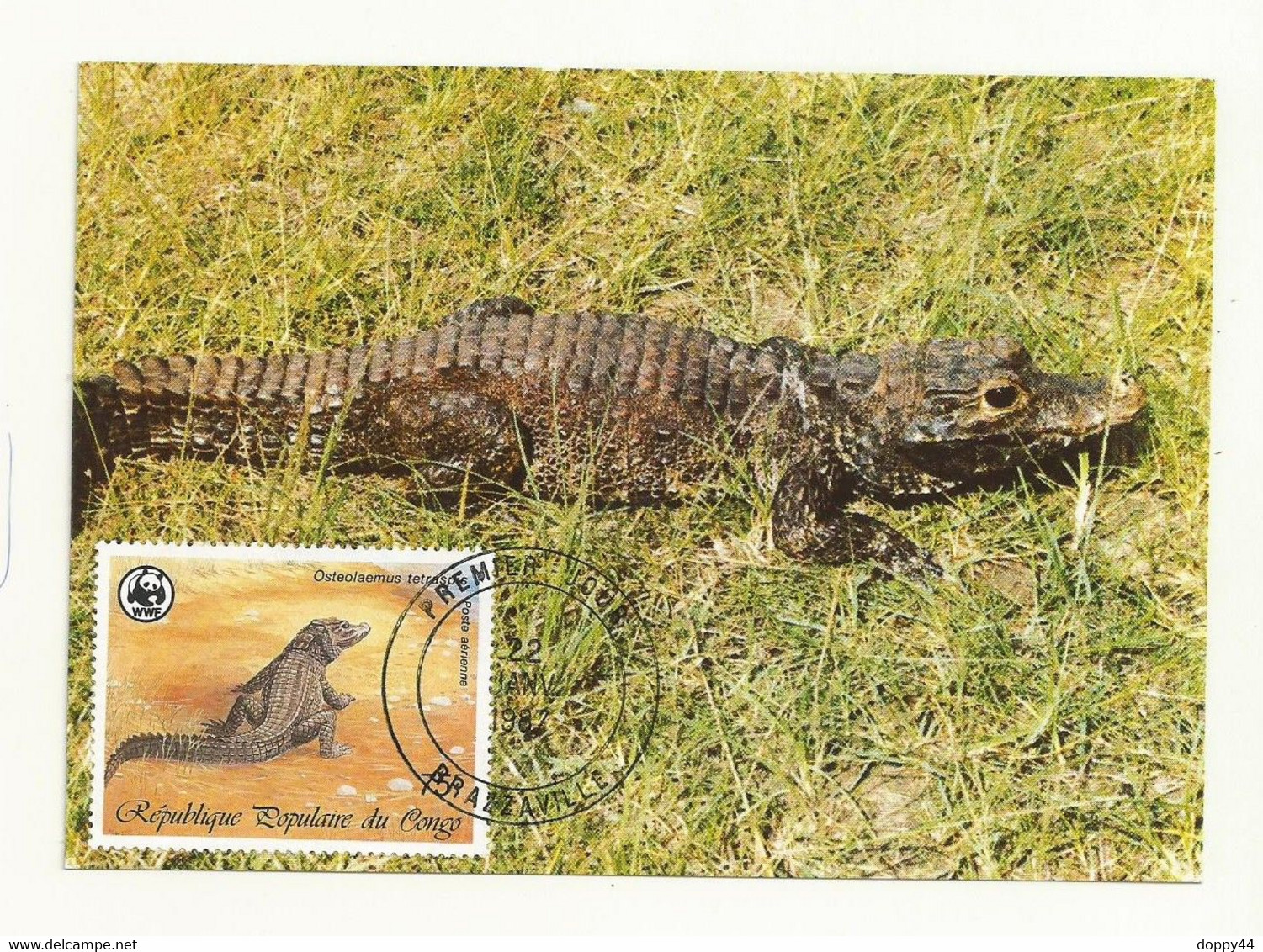 WWF CARTE MAXIMUM CONGO THEME CROCODILE . - Cartoline Maximum