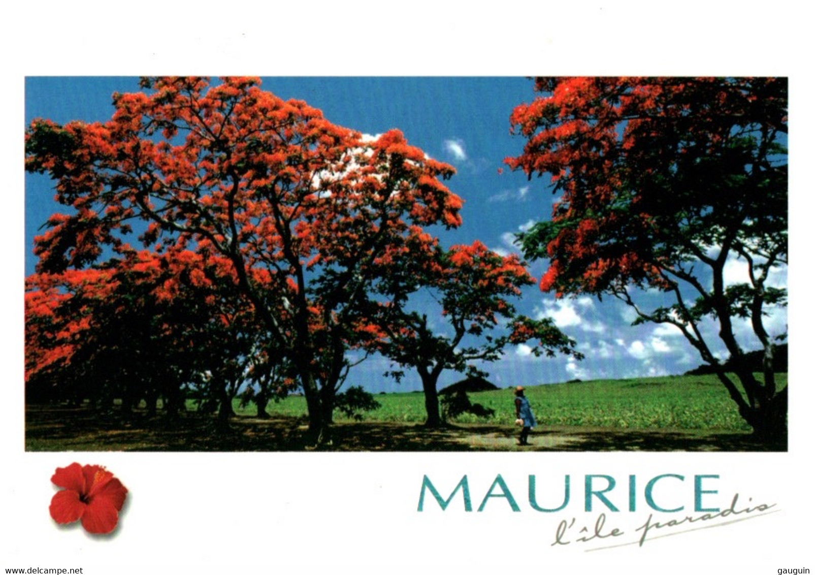 CPM - MAURICE - Vues De Plage ... Lot De 3 Cartes A Saisir (Affranchissement TP) - Mauritius