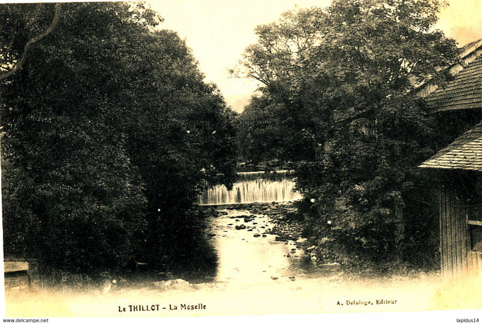 AT 203 /  C P A  LE THILLOT    (88)  LA MOSELLE - Le Thillot