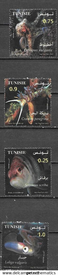 TUNISIA, 2021, MNH, MARINE BIOLOGY, FISH, OCTOPUS, SQUID,4v - Pesci