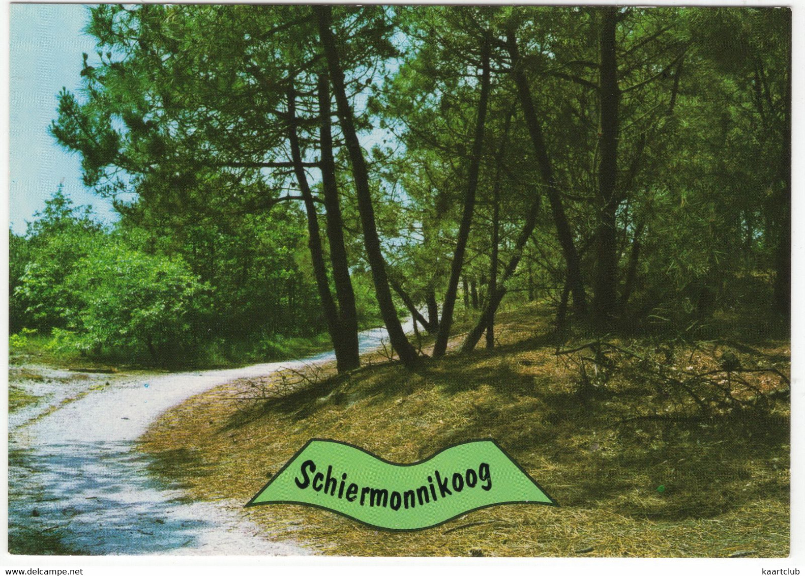 Schiermonnikoog - Natuur - (Nederland/Holland) - Nr. L 3460 - Schiermonnikoog