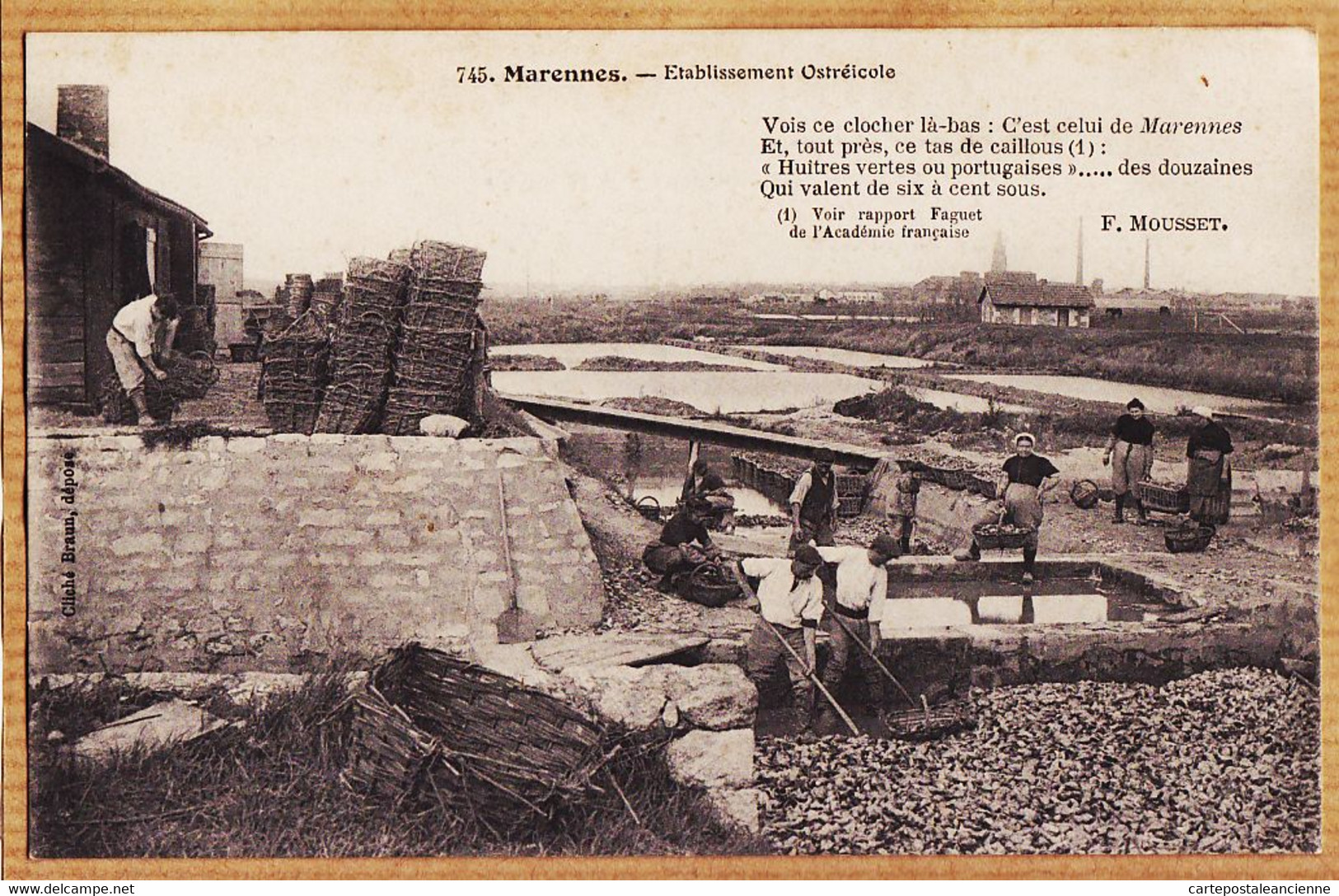 X17102 ⭐ MARENNES Etablissement OSTREICOLE Huitres Vertes Ou Portugaises 6 à 100 Sous Rapport FAGUET 1910s MOUSSET 745 - Marennes